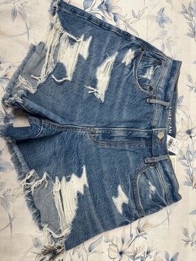 American Eagle Outfitters Light Blue '90s Boyfriend Short Denim